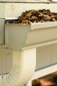 cleaning out gutters with leaves