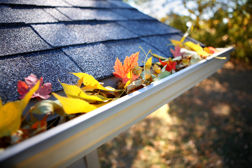 leaves inside the gutters on a home