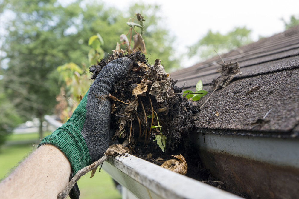 cleaning out gutters during the fall