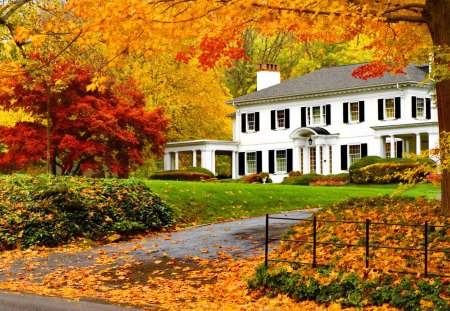 white home in the autumn